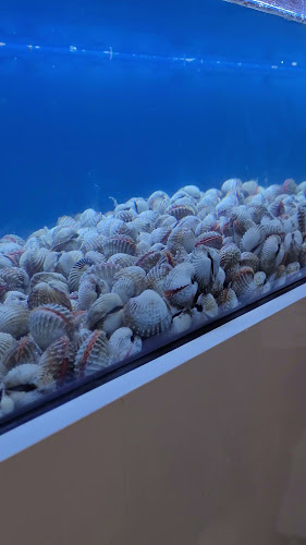 WaWa Lala Bee Hoon (38 Margaret Drive) - Hospitality and gastronomy