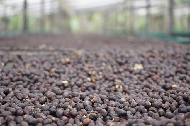 Opinii despre The Annex (within Chye Seng Huat Hardware) în Singapore - Hospitality and gastronomy