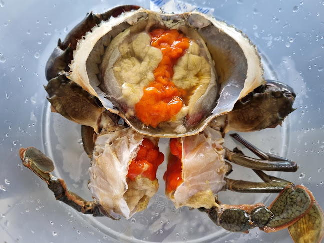 M1 Crab AMK - Hospitality and gastronomy