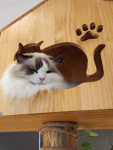 9 Sin Ming Rd, #01-04, Singapore 575630