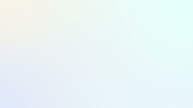 King Of Wagyu (KOW) - Hospitality and gastronomy