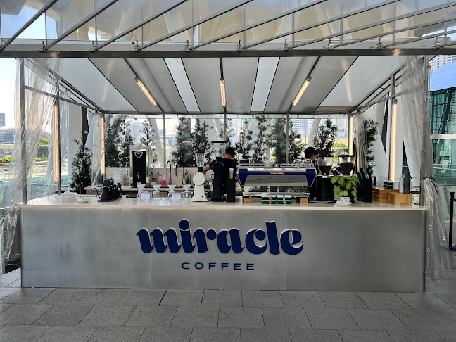 Comentarii opinii despre Miracle Coffee