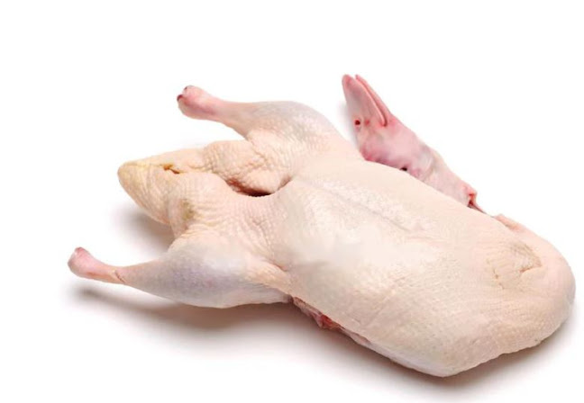 Fresh Stop - Hospitality and gastronomy