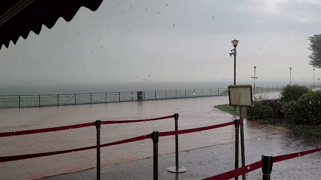 JUMBO Seafood - East Coast - Hospitality and gastronomy