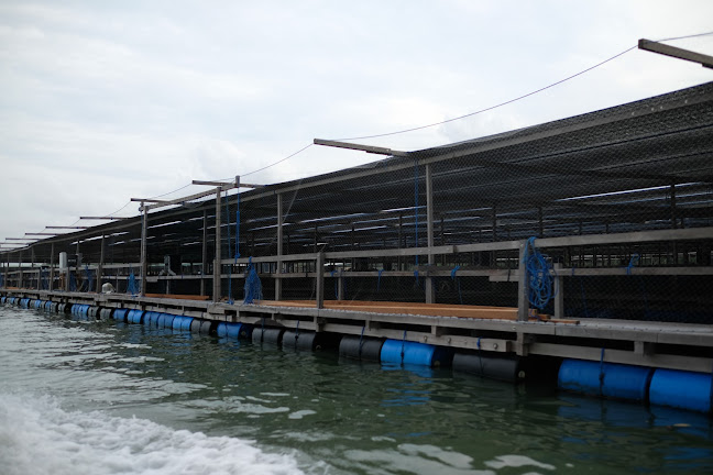 Prime Prime - Hospitality and gastronomy