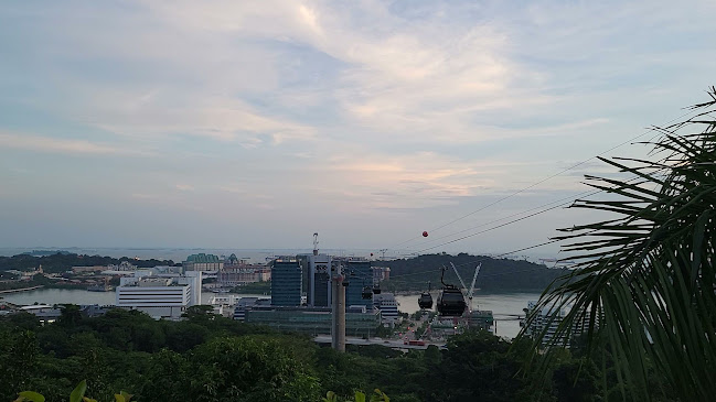 Comentarii opinii despre Arbora @ Mount Faber Peak