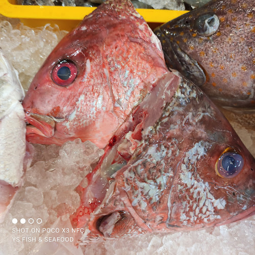 Comentarii opinii despre YS Fresh Seafood Market