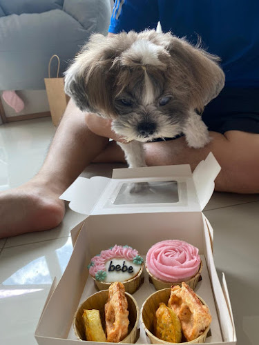 Comentarii opinii despre Feed My Paws