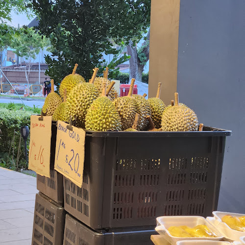 Comentarii opinii despre Durian Soldier