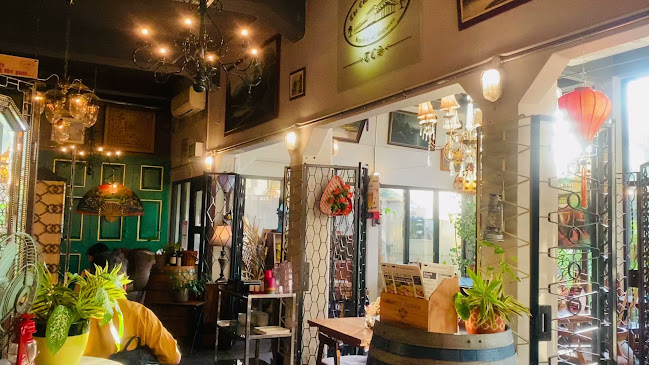 The Coastal Settlement