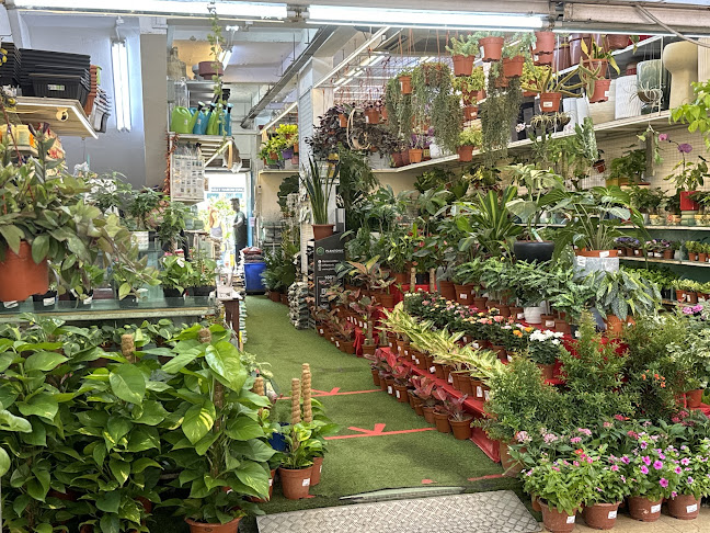 Opinii despre Ban Nee Chen Retail @ Chong Pang în Singapore - Hospitality and gastronomy