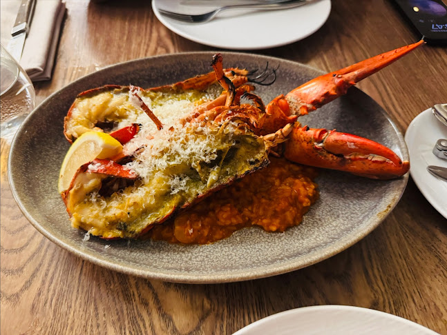 Opus Bar and Grill - Hospitality and gastronomy