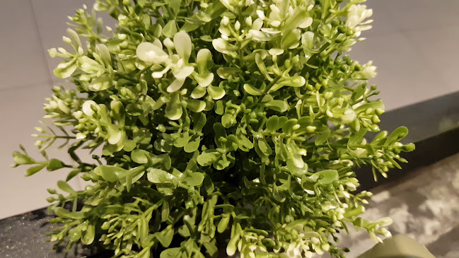 Opinii despre ToriGO! - BLK 153A în Singapore - Hospitality and gastronomy