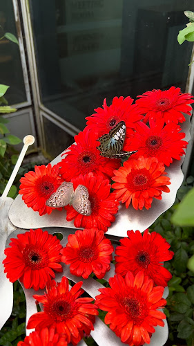 60 Airport Blvd., Singapore 819643