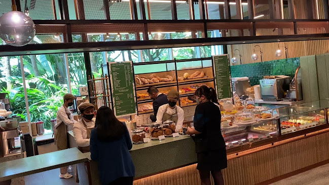 Comentarii opinii despre Origin + Bloom