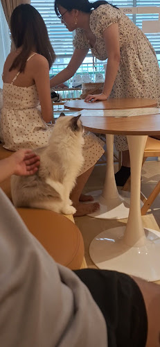 9 Sin Ming Rd, #01-04, Singapore 575630