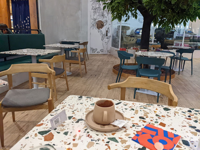 Softhaus - Singapore