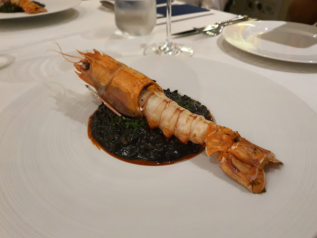 Opinii despre Buona Terra în Singapore - Hospitality and gastronomy