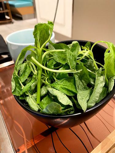 Beauty in The Pot 美滋锅 at Jewel Changi Airport - Hospitality and gastronomy