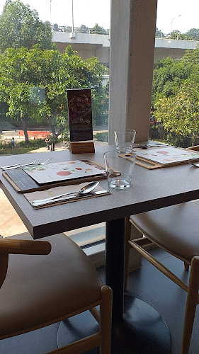 Comentarii opinii despre elemen 元素