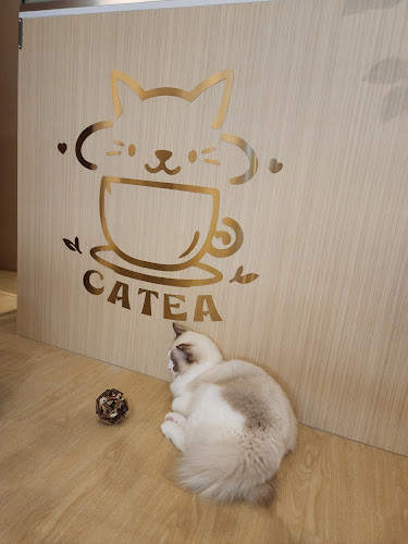 CATEA - Hospitality and gastronomy