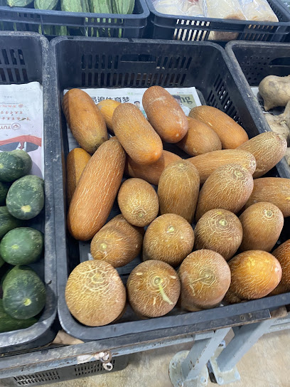 N L Technology Vegetables Farm