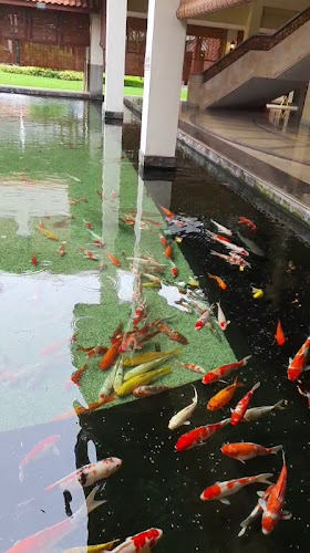 Opinii despre Passion Cafe în Singapore - Hospitality and gastronomy