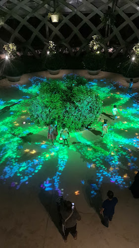 Opinii despre Chang Jiang G1 Claypot Frog Porridge 长江1号 în Singapore - Hospitality and gastronomy