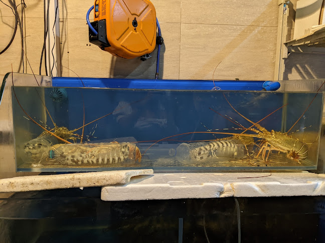 Opinii despre Oyster house @ Farrer Park în Singapore - Hospitality and gastronomy