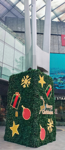 Comentarii opinii despre My First Choice (MFC)