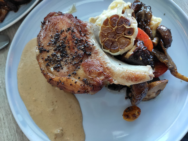 Lazy Lizard - NEWest - Hospitality and gastronomy