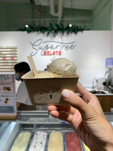 Sugartree Gelato - Hospitality and gastronomy