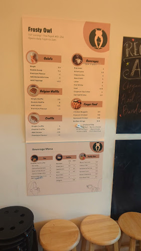 Comentarii opinii despre Frosty Owl