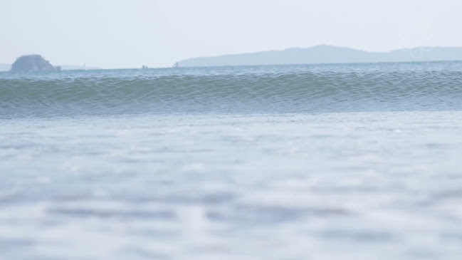 Opinii despre Ishinomaki Grill & Sake în Singapore - Hospitality and gastronomy