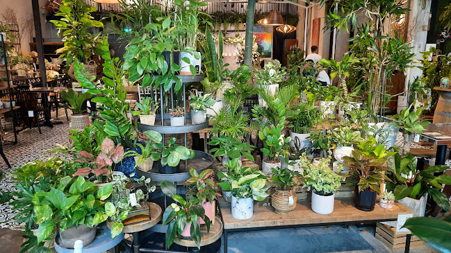 Knots Cafe & Living (Pasir Panjang) - Singapore