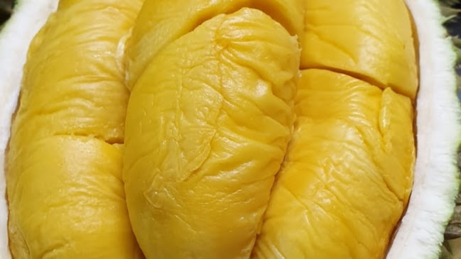 Durian Shop Yishun | Jero Durian Singapore
