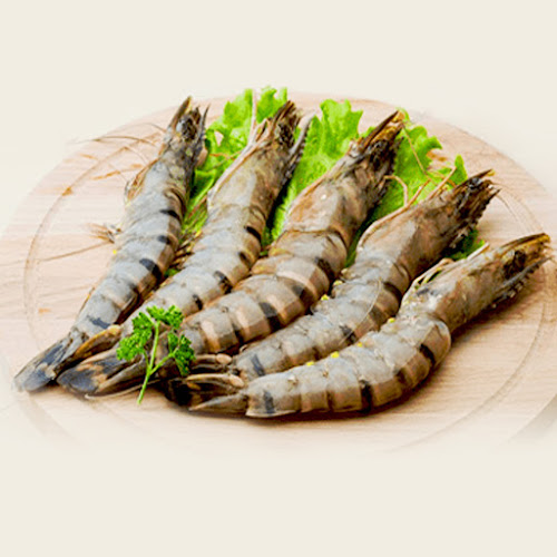 CS Foods | Online Butcher & Wholesale Meats in Singapore - Hospitality and gastronomy