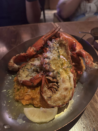 Opus Bar and Grill - Hospitality and gastronomy