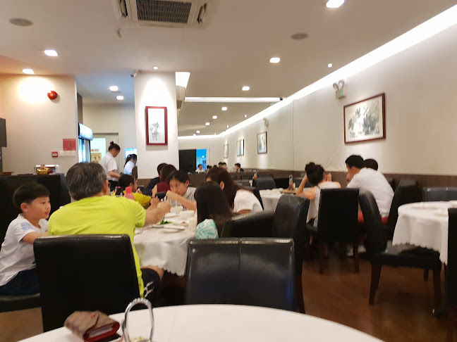 Springleaf Taiwan Porridge