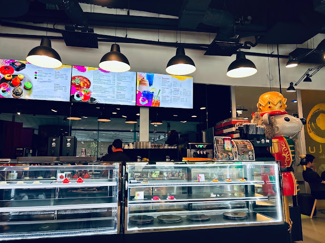 Olulu Palette + Palate (Matrix)