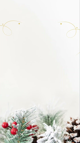 Opinii despre April's Kitchen în Singapore - Hospitality and gastronomy