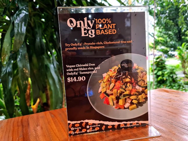 The Plant Food - Hospitality and gastronomy