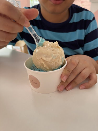 Comentarii opinii despre Tucela Gelato