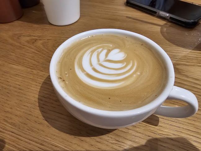 Comentarii opinii despre Tuck In