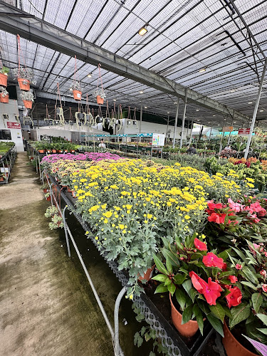 Weekenders Market - Singapore