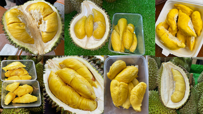 BBZ Durian - Singapore