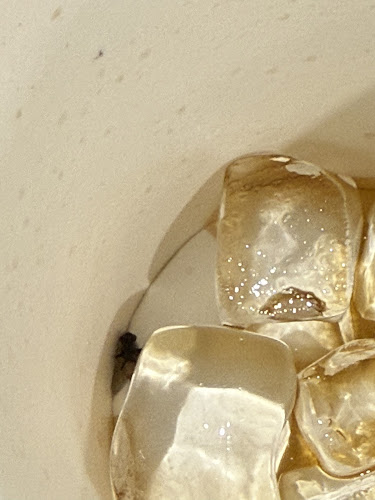 Gochi-So Shokudo Japanese Restaurant ごち惣食堂 @ Jewel Changi Airport - Hospitality and gastronomy