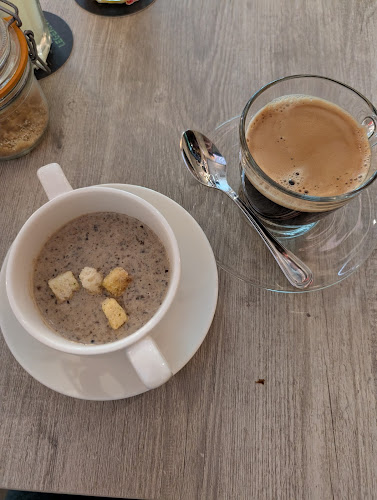 Lazy Lizard - NEWest - Singapore