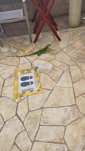 Opinii despre Regale (Home Delivery Orders) în Singapore - Hospitality and gastronomy