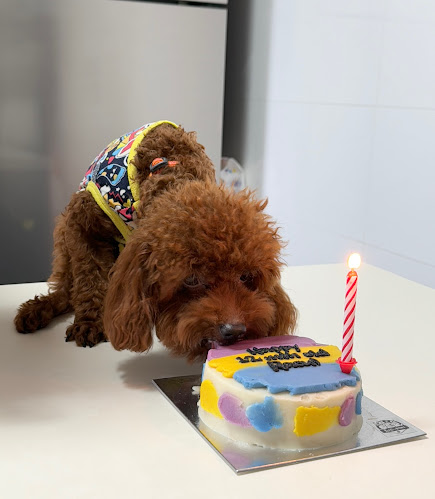 Comentarii opinii despre Feed My Paws